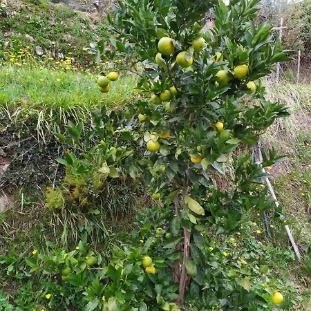 Terre Verae Aparthotel 4*