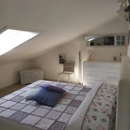 Terre Verae 4* Neirone