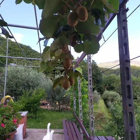 Aparthotel Terre Verae 4*