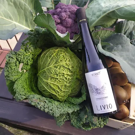 Aparthotel Terre Verae Neirone