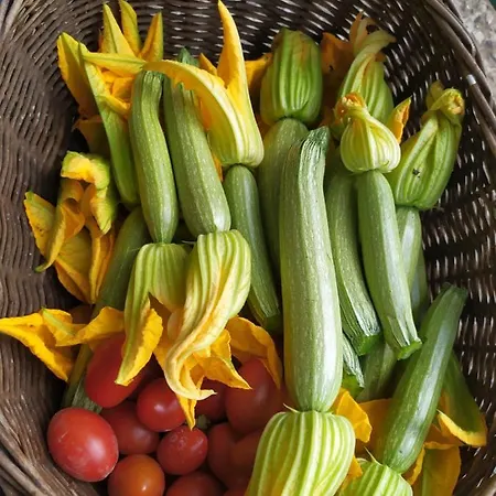 Aparthotel Terre Verae 4*