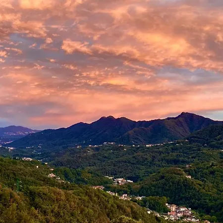 Terre Verae Aparthotel Neirone