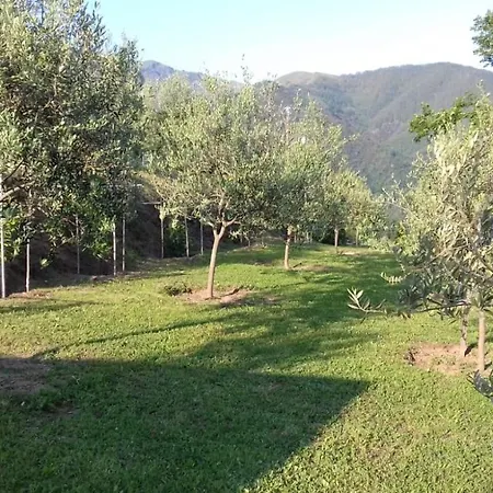 Terre Verae Aparthotel