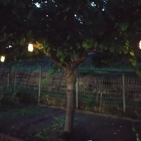מלון דירות Terre Verae Neirone