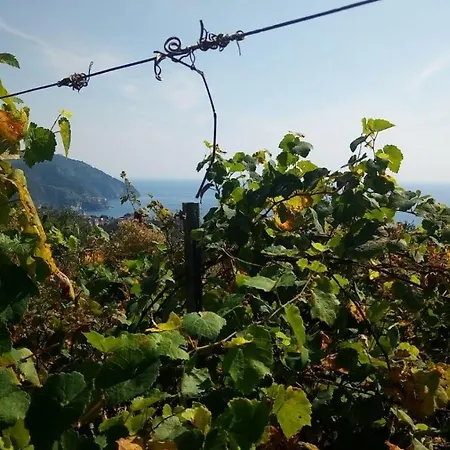 Terre Verae Appart hôtel Neirone