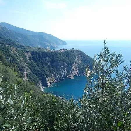 Appart hôtel Terre Verae