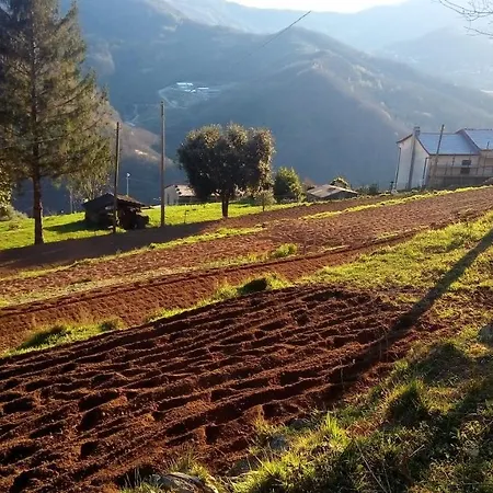 Terre Verae 4* Neirone