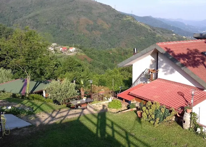 Terre Verae 4*