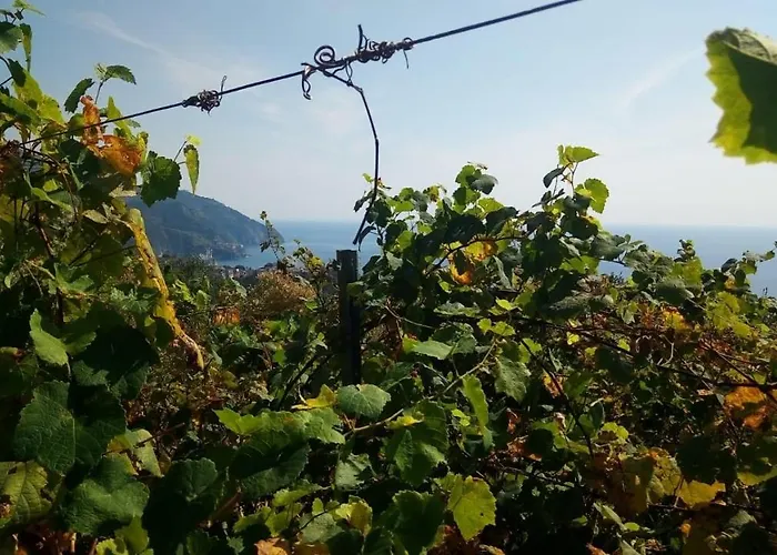Terre Verae Lägenhetshotell Neirone