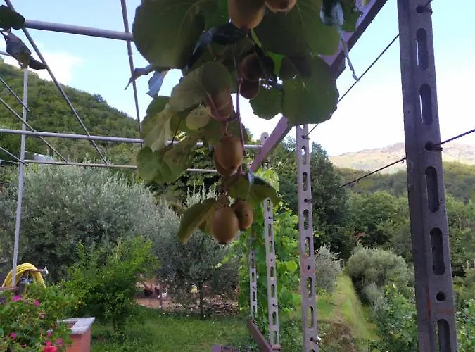 شقة فندقية Terre Verae 4*