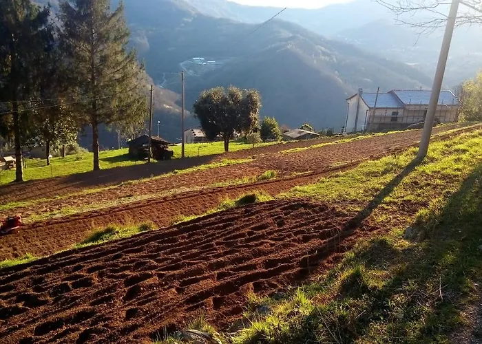 Terre Verae 4* Neirone